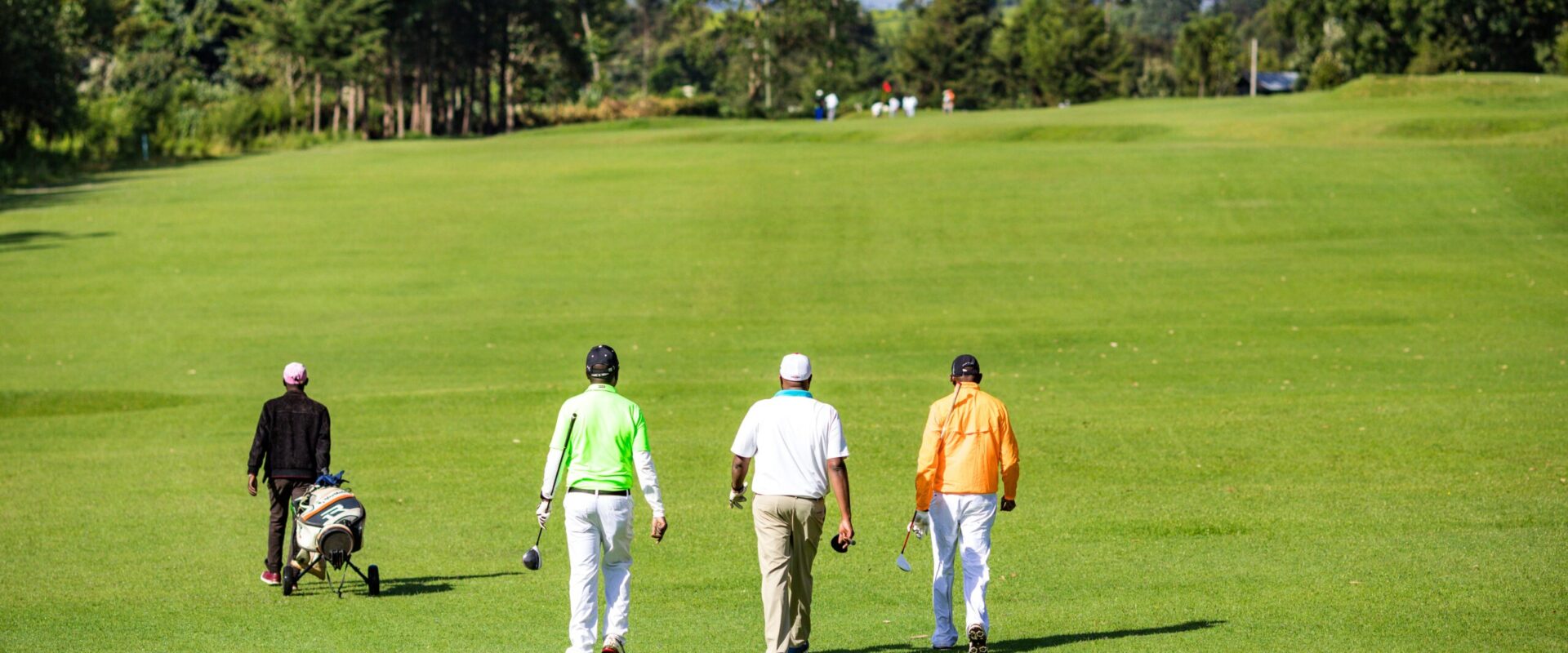 Three men walk along a pine tree lined golf course.